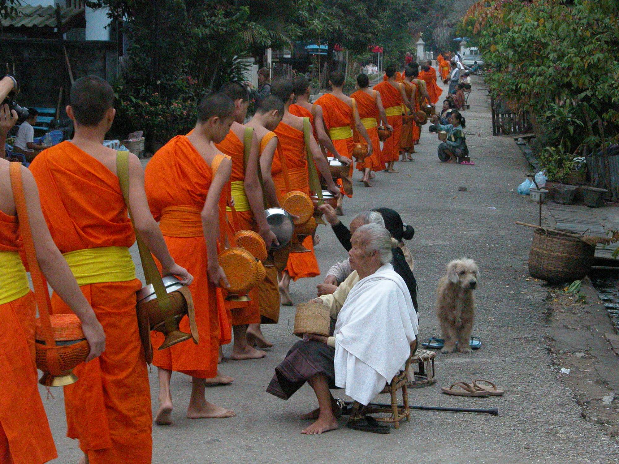 monks collecting alms luang prabang